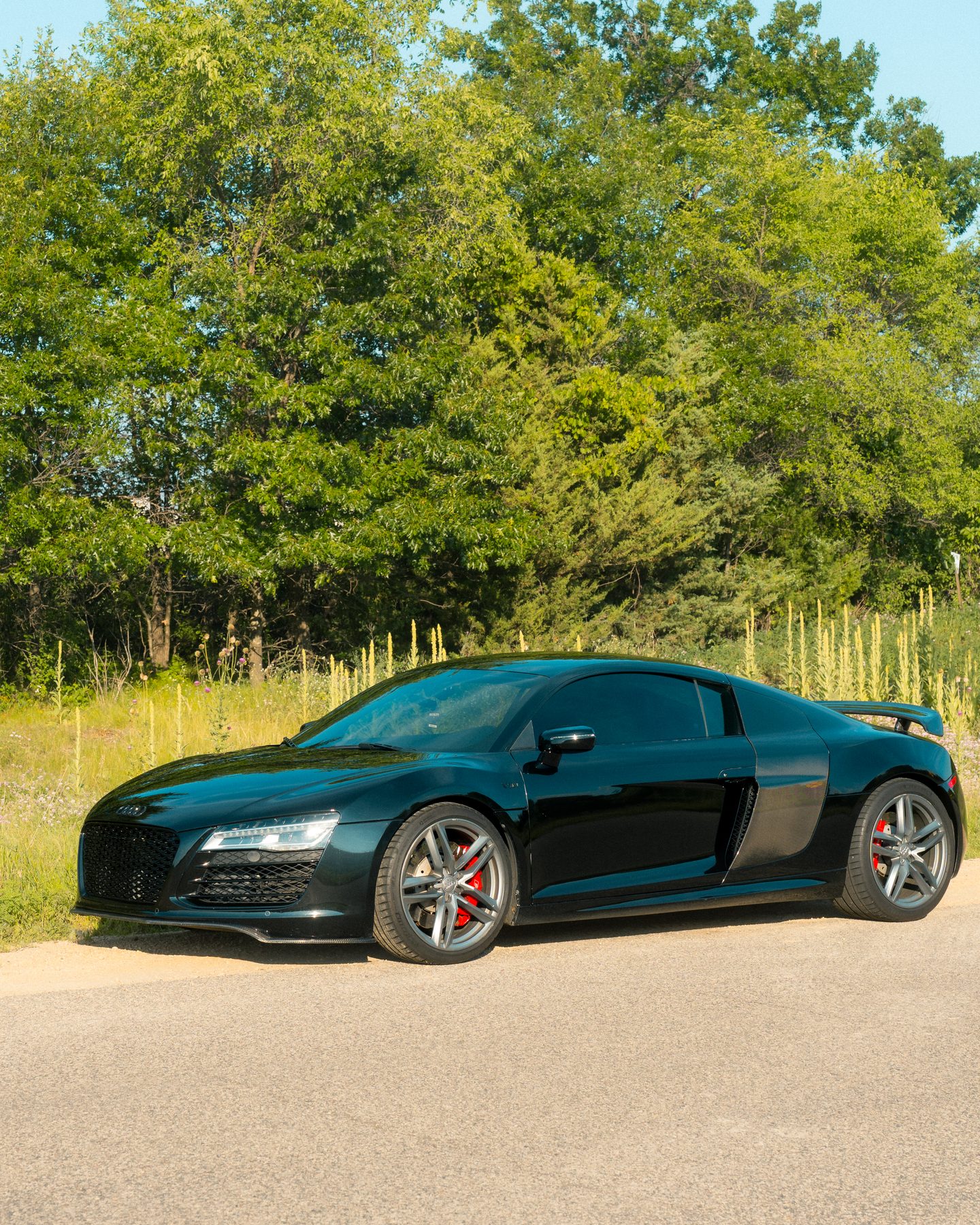 Audi R8 side profile by Alphpixels